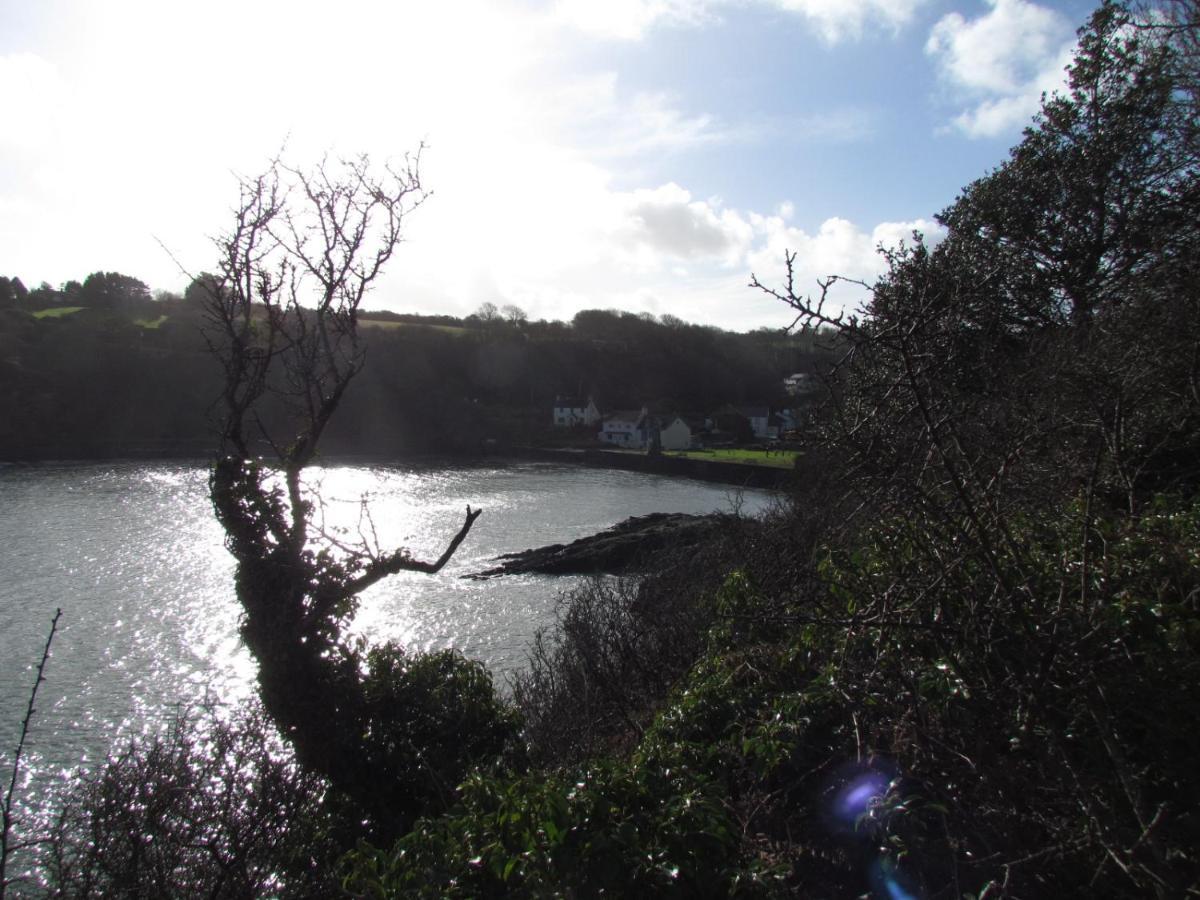 Ty Nain, Newport, Pembrokeshire Villa Newport  Esterno foto